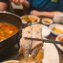 메기본가 이미지