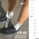 새신바람 이미지