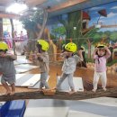 키튼아일랜드어린이집 이미지