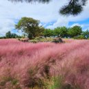 지전농장 이미지