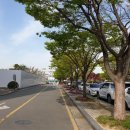 농업회사법인 장성 주식회사 이미지