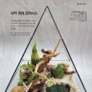 (주)디자인오아시스