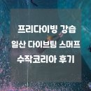 다이브코리아 | 프리다이빙 강습 일산 다이브팀 스머프 수작코리아 후기