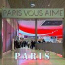 동양택시(주) | 파리 샤를드골 공항 우버 택시 타는 곳 가격, 한인택시 추천