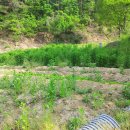 인수목장 이미지