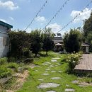 서구-02-98 이미지