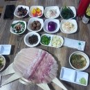 부산횟집 | 부산 새총횟집 후기 자연산 참가자미 세꼬시 맛집, 반여동 현지인 추천 횟집