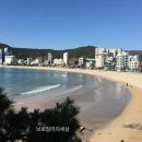송정해수욕장 네이버블로그