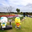 [시흥 갯골축제/경기도 당일치기 가족여행지/ 주말에 아이들과 가 볼만한 곳 / 생태공원/여름방학 체험학습] 이미지