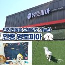 지에스25 평택세교점 | 평택 애견 카페 안중 멍토피아 애견카페 후기 | 호텔링도 가능한 강아지가 더 좋아하는 공간