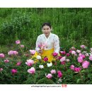 팡시온 이미지