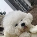 다나동물의료센터 이미지