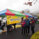 둔내초등학교 이미지