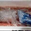 상어네 간식 이미지