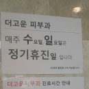 더고은피부과 Daum카페