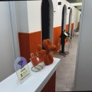 하이텐에스테틱