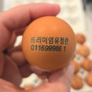 등고개2 이미지