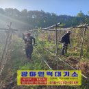 군서농장 이미지