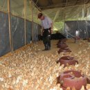 샬롬약국 이미지