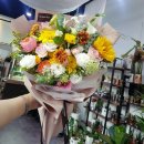 홍피아플레르