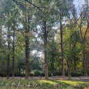 물향기공원 | 물향기수목원에 찾아온 가을. 단풍은 지금부터 본격적