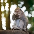 히얼 앤 유 이미지