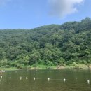 홍천강 자라바위 오토캠핑장 이미지