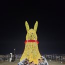 서부유도관 이미지