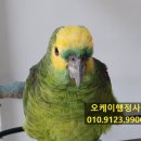 오케이행정사사무소 이미지