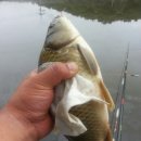 요덕골낚시터 이미지