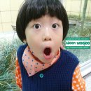 녹청자박물관 Daum카페