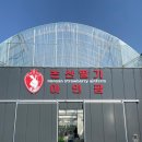 대전근교 논산 딸기 농장 체험 아인팜 글램핑존 내돈내산 후기