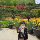 SDA삼육어린이집 | 천안 영어유치원 불당동 킨더레스트어학원 두 달 차 후기
