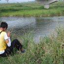 천변자전거도로 이미지