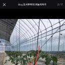 봉우농장 이미지