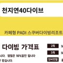 천지연 40 네이버블로그