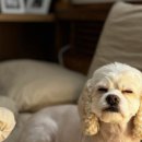 오늘의개스트 이미지