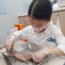 [초3~초4] 재미있는 이야기 좋아 신나는 토론이 더 좋아 | 초3 과학이야기