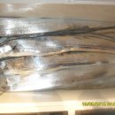 오늘도제주 이미지