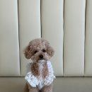 월계역 1번출구 이미지