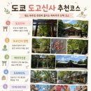초록신사 | 도쿄가볼만한곳, 쿠로미 오미쿠지 보러 간 토고신사 후기
