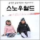 하이원리조트 스노우월드 할인가 평일 이용후기