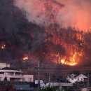 대구 달성군 산불 발생, 주민들 긴급 대피! 이미지