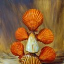 해피아트 이미지