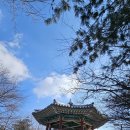 정자나루 이미지