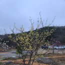 안동호반펜션 이미지