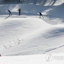 [2014 소치]＜소치 알고봅시다＞ ⑧ '설원의 마라톤' 크로스컨트리 이미지