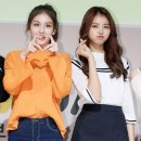 임나영 카카오 검색결과