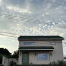제주각시 | 제주 동쪽 감성 독채 숙소 추천｜마드레한동에서 보낸 완벽한 2박 3일🏡