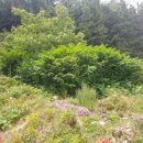 사동리 해안변 이미지